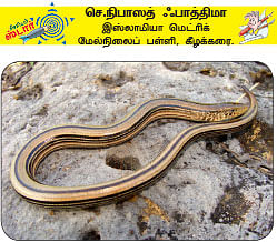 சுட்டி நியூஸ்
