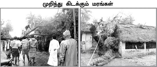 ''தலைமுறைக்கு இந்தப் புயல் போதும் சாமி..''
