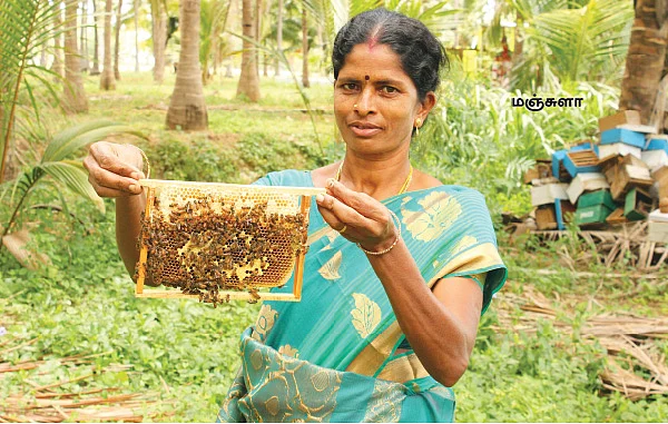 படிப்பறிவு இல்லாமலே பல்லாயிரக்கணக்கில் வருமானம்!