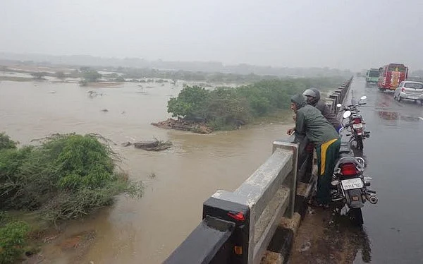 பாலை வார்த்திருக்கின்றது பாலாறு; இயற்கை அன்னைக்கு சுரந்த கருணை!
