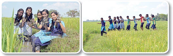 வயலுக்குச் சென்றோம் விவசாயம் படித்தோம்!