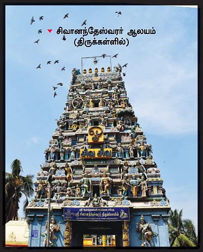 நம் ஊர்... நம் கதைகள் - இடிந்த கோட்டையும் எதிர்வரும் பறவைகளும்!