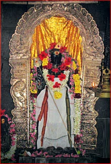 வெற்றி தரும் வேலவன்!