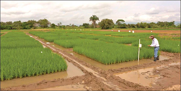 உலகம் சுற்றும் உழவு!