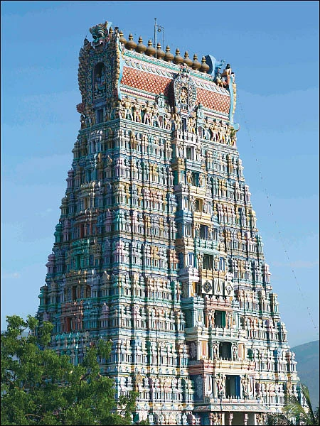 நாரதர் உலா... - ஸ்ரீவில்லிபுத்தூர் ஆண்டாள் கோயிலில்