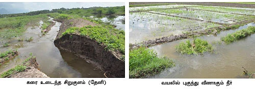தண்ணீர்... தண்ணீர்...: