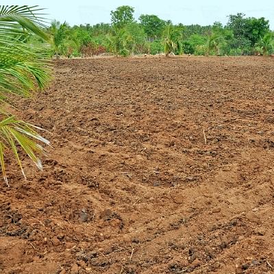 நீங்கள் கேட்டவை: இயற்கை விவசாயத்துக்கு  மண் பரிசோதனை அவசியமா?