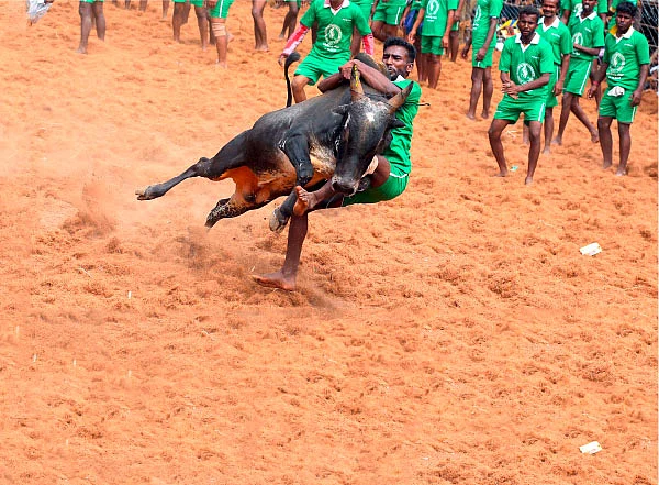 அடங்காதவன்... அசராதவன்!