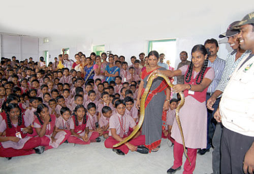 பள்ளிக்கு வந்த பாம்பு நண்பர்கள் !
