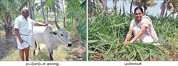 அன்று, தொழிலதிபர்... இன்று இயற்கை விவசாயி !