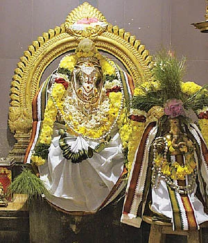 கயிலை... காலடி... காஞ்சி! - 11