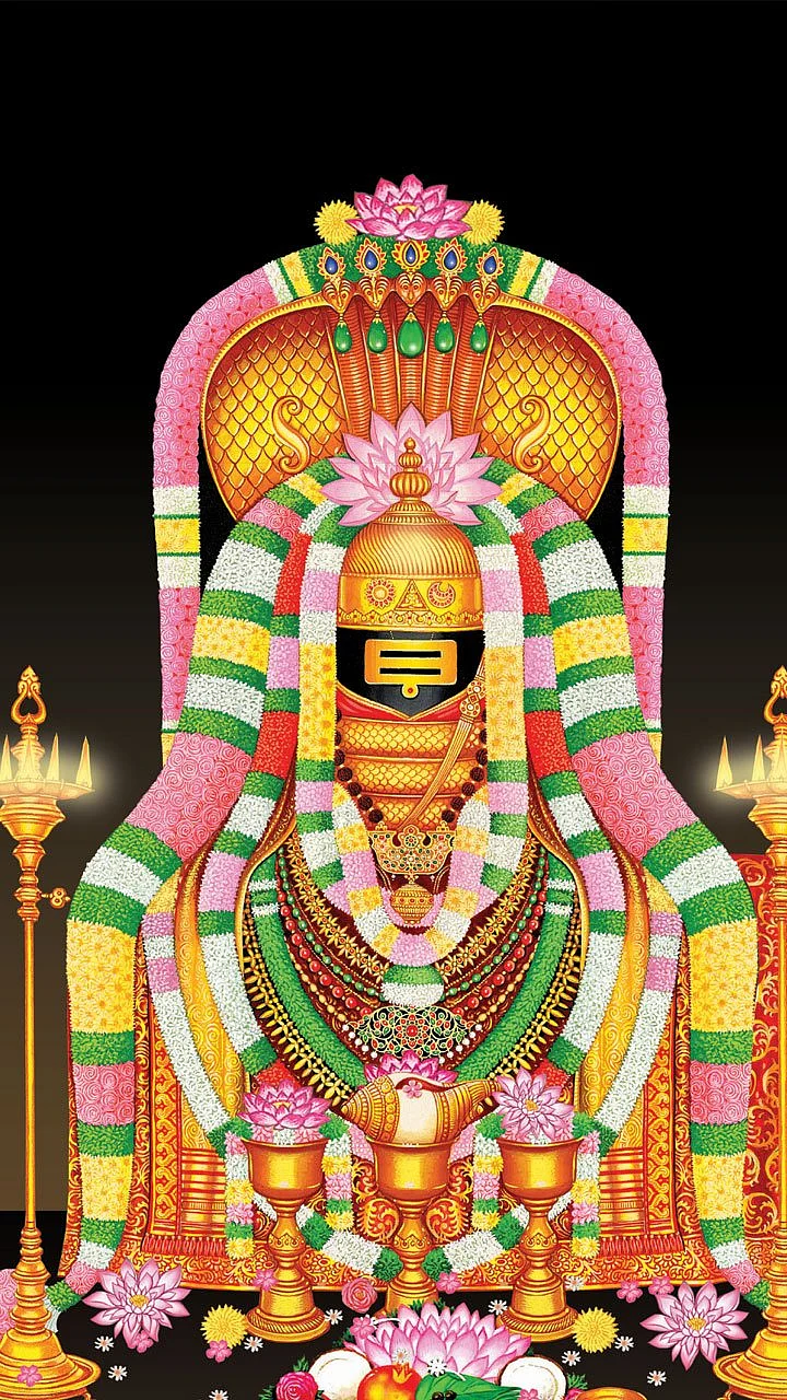 வாழ்க்கை ஒளிர... தட்சிணாயன தரிசனம்!