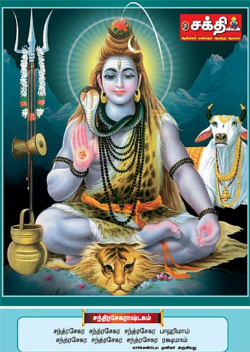 ‘கோவிந்தா... கோபாலா..!’ குமரியில் சிவாலய ஓட்டம்!
