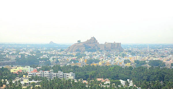 நாரதர் உலா