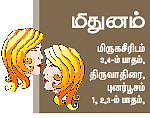 மன்மத வருடம்... ராகு, கேது பலன்கள் !