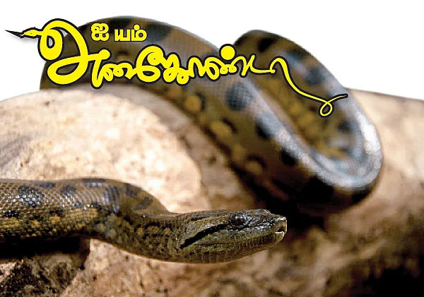 ஐ யம் அனகோண்டா !