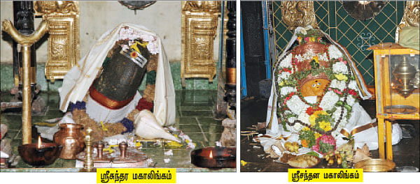 சித்தம்... சிவம்... சாகசம்! - 16