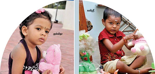 அம்முக்களின் பொம்முக்கள்!
