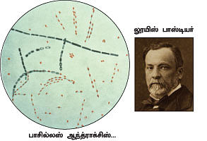 மாயா டீச்சரின் மந்திரக் கம்பளம் !