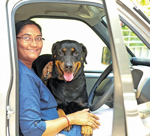 செல்லப் பிராணிகளின் சேவகி!