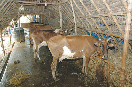 சித்தமெல்லாம் சித்தமல்லி - 8!