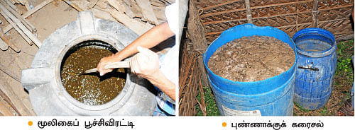 குறைந்த இடத்திலும் குதூகல வருமானம் தரும் மல்லி!