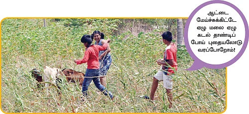 கோடையைக் கொண்டாடினோம்! - ‘நாற்றங்கால்’ திருவிழா