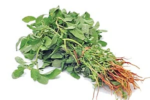எந்தக் கீரையில் என்ன சத்து?