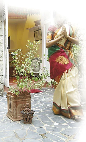 துளசி பூஜை!