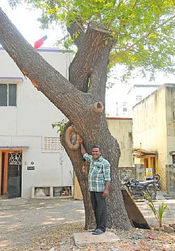 மனிதனைவிட மரங்களை நேசி... மரங்களின் காதலர்