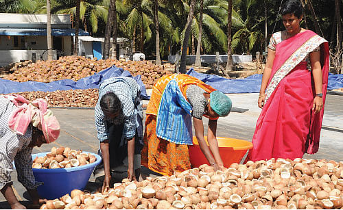 தொழிலாளி to முதலாளி - 5: தோல்வியிலிருந்து வெற்றி... இப்போ ஆறரை கோடி வருமானம்! - சிந்து
