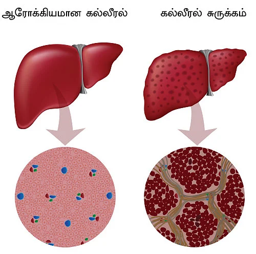 ஸ்வீட் எஸ்கேப் - 15