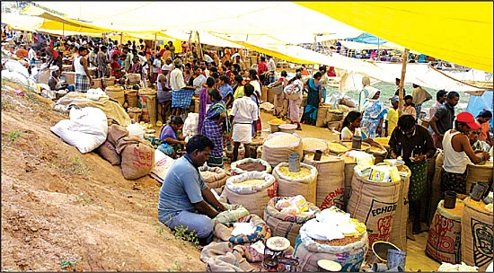 படுசல்லிசு விலையில் பலசரக்குத் திருவிழா!