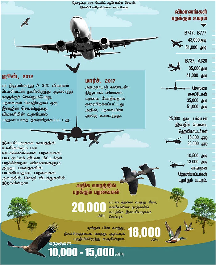 பறவைகள் - பறப்பது விமானம் மட்டுமல்ல.!