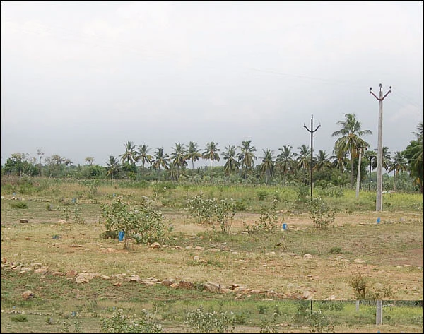 நீர்ப்பிடிப்புப் பகுதியில் வீட்டுமனை... எப்படிக் கண்டுபிடிப்பது?