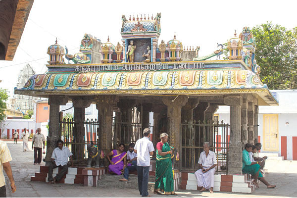 வழிகாட்ட வந்தான் வடிவேலன்!