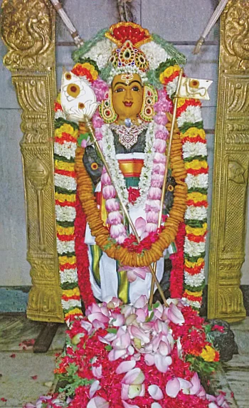 தைப்பூச தரிசனம்!
