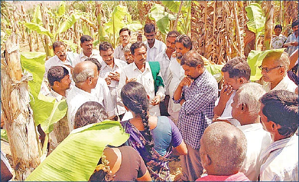 தமிழ்நாட்டில்... பைசா செலவில்லாத பசுமைப் புரட்சி!