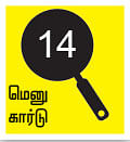 சோறு முக்கியம் பாஸ்! - 14