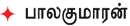 ஸ்ரீரமண மகரிஷி 