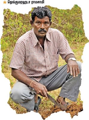 ஒற்றைக் கொம்பு... உதைத்தால் வம்பு!