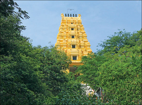 தைப்பூச தரிசனம்! - குழந்தை வரம் அருளும் குழந்தை வேலாயுதன்!