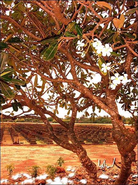 முடியாத பயணம் - கவிதை