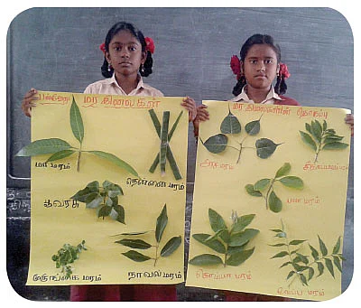 மரங்களைச் சுற்றி பாடம் படி!