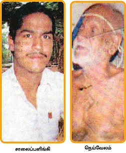 ”வீட்டுக்கு ரெண்டு மூணு பூச்சியிருக்கும்!”