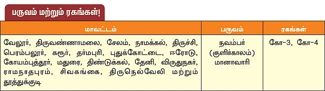 ஏற்றுமதிக்கு ஏற்ற கொண்டைக்கடலை!