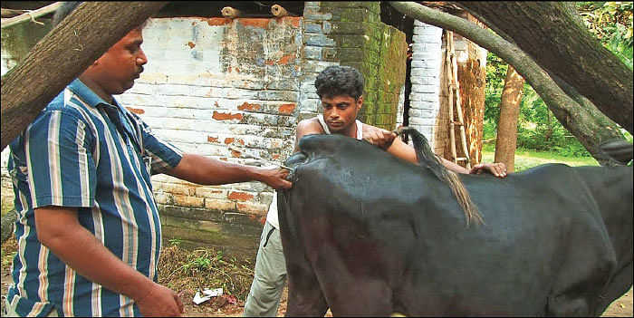 நீங்கள் கேட்டவை - ‘‘சிறுதானிய இயந்திரங்கள் எங்கு கிடைக்கும்?’’