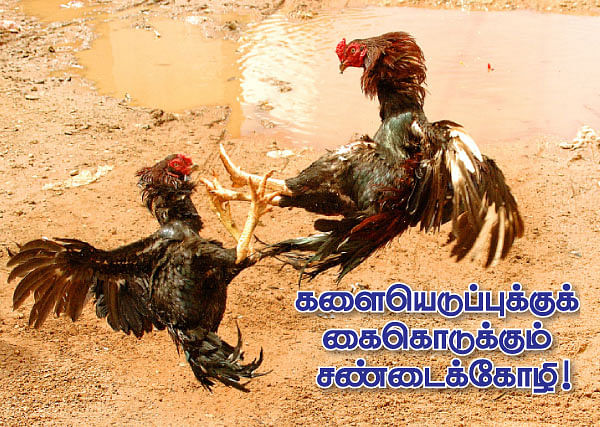 நீங்கள் கேட்டவை
