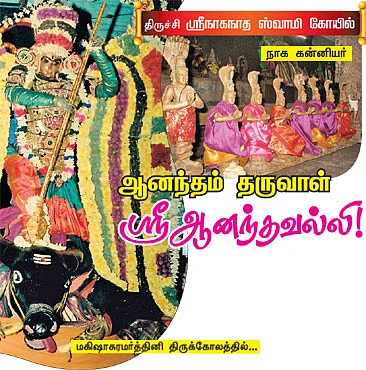 ஆனந்தம் தருவாள் ஸ்ரீ ஆனந்தவல்லி !