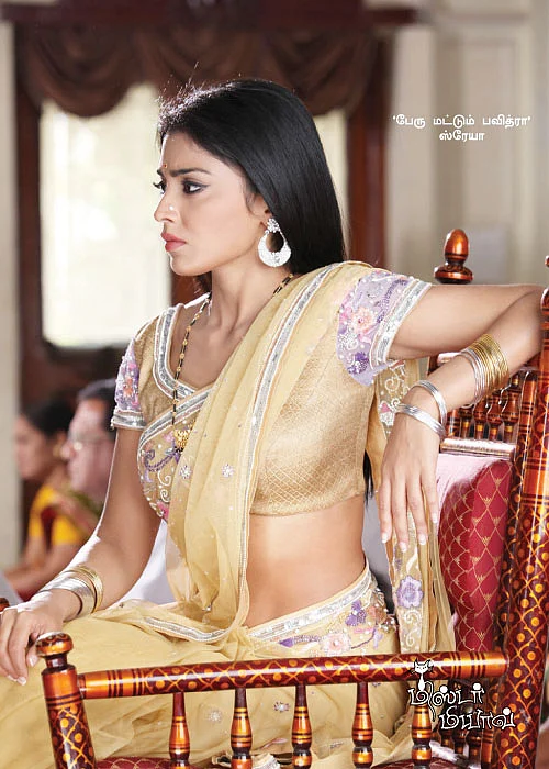 மிஸ்டர் மியாவ்